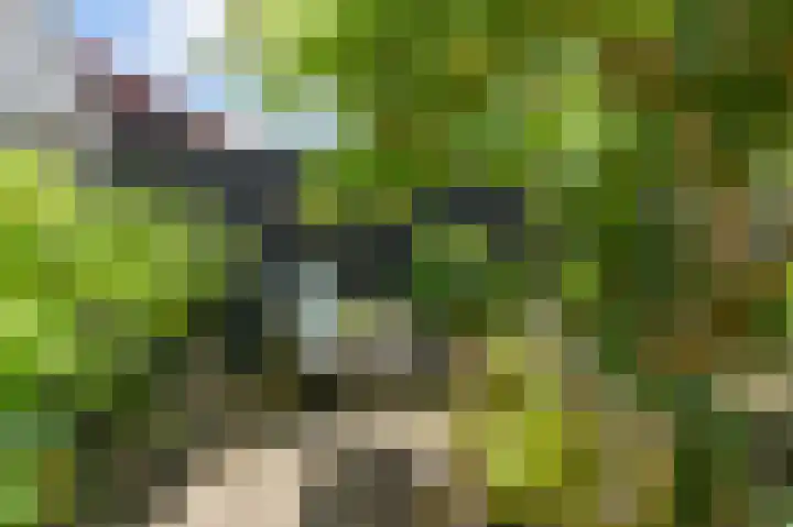 Zuiderweg 5 Huizen thumbnail 9