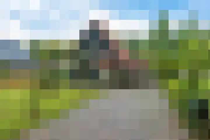 Zuiderweg 54 Noordwolde thumbnail 4