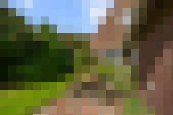 Zuiderweg 63 A Wijdewormer thumbnail 11