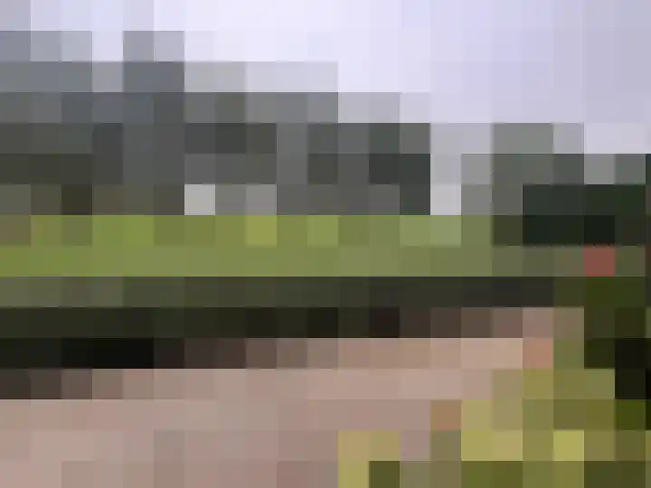 Zuiderweg 63 A Wijdewormer thumbnail 15