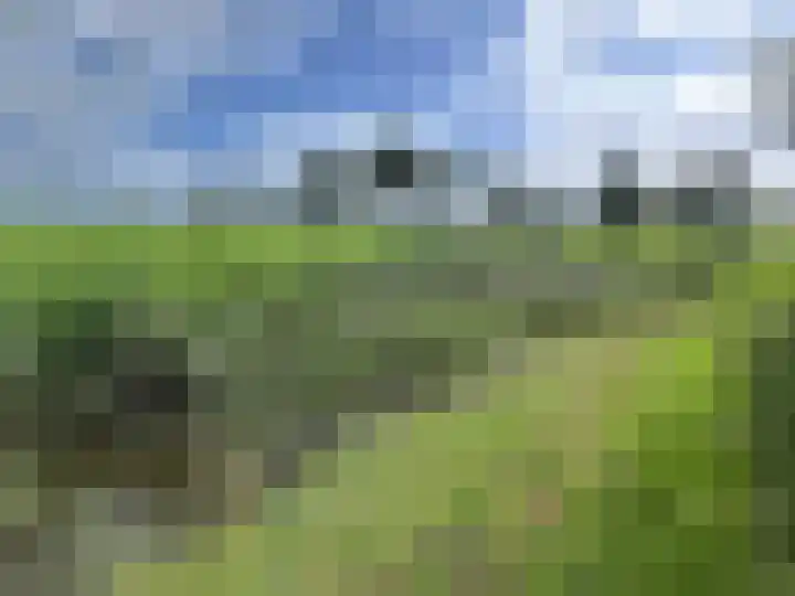 Zuiderweg 63 A Wijdewormer thumbnail 17