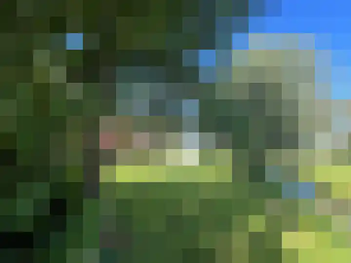 Zuiderweg 63 A Wijdewormer thumbnail 18