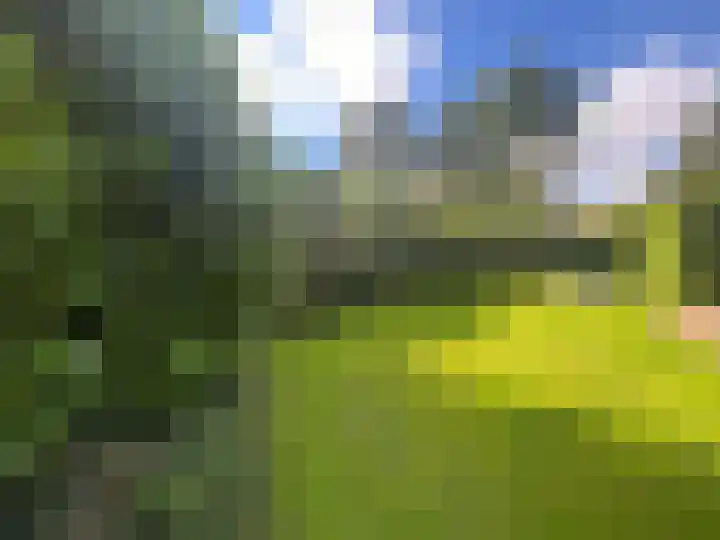 Zuiderweg 63 A Wijdewormer thumbnail 19