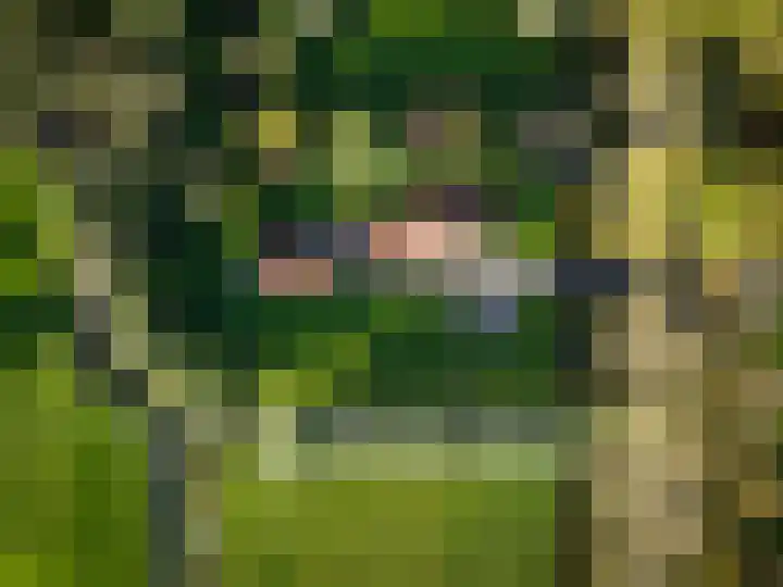 Zuiderweg 63 A Wijdewormer thumbnail 4