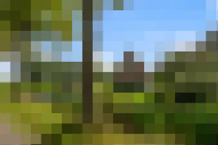 Zuiderweg 63 A Wijdewormer thumbnail 6