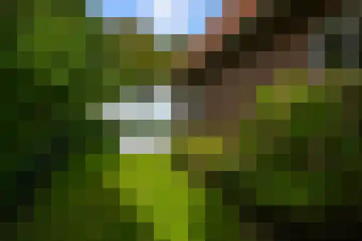Zuiderweg 63 A Wijdewormer thumbnail 8