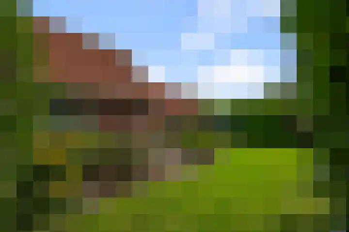 Zuiderweg 63 A Wijdewormer thumbnail 9