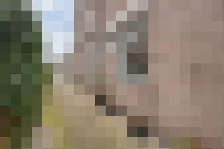 Zuiderweg 7 Hoogeveen thumbnail 5