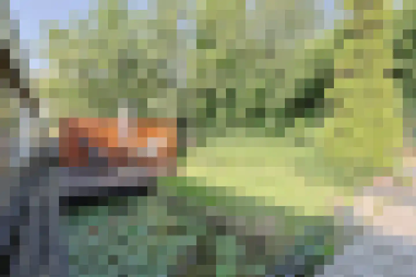 Zuiderweg 75 C Wijdewormer thumbnail 27
