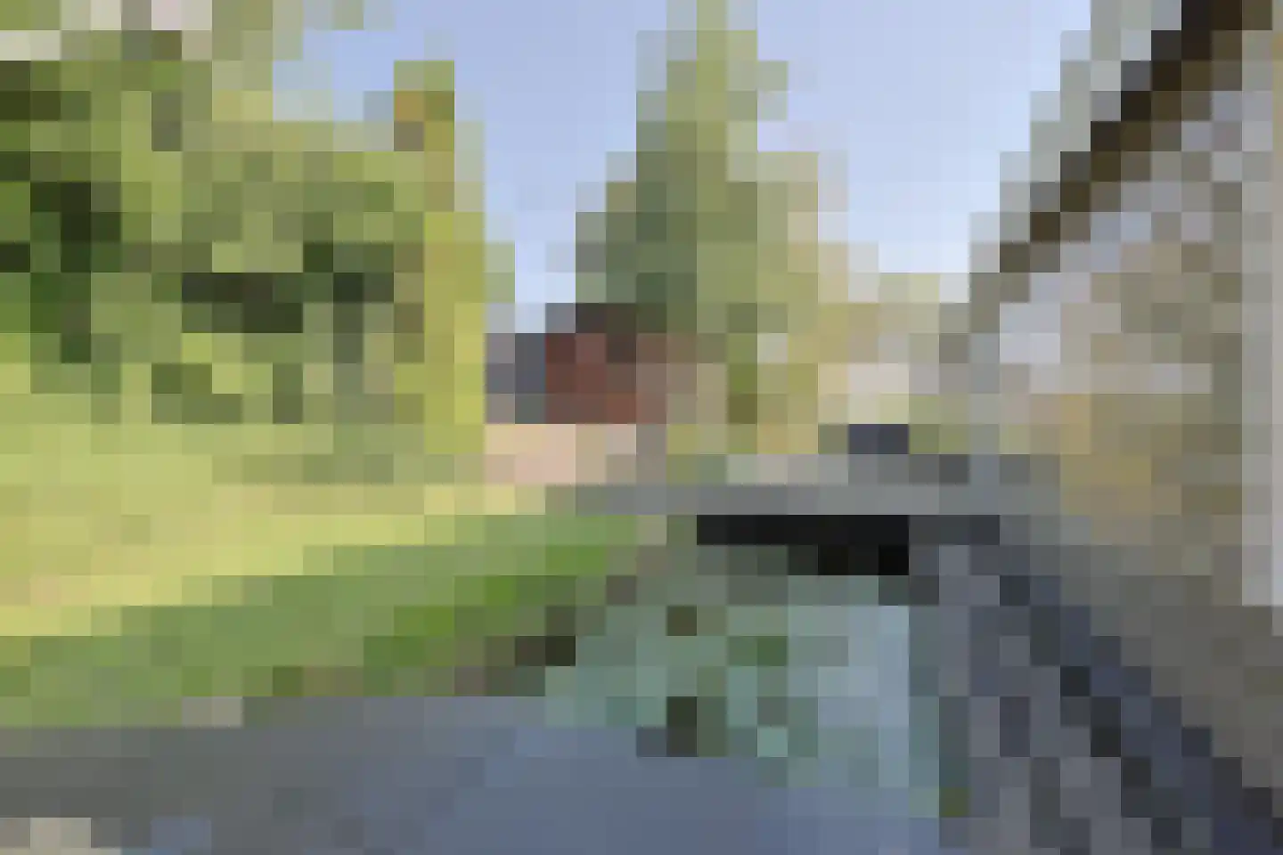 Zuiderweg 75 C Wijdewormer thumbnail 30