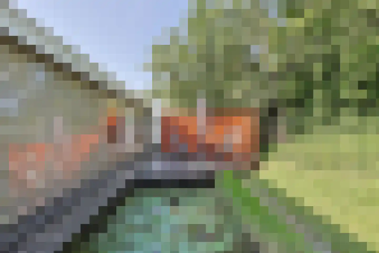 Zuiderweg 75 C Wijdewormer thumbnail 32