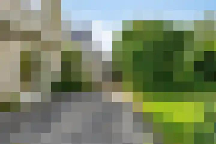 Zuiderweg 76 d Groningen thumbnail 11