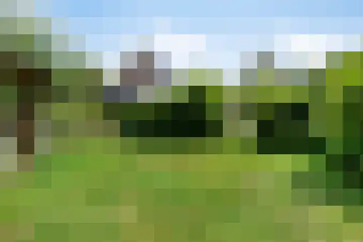 Zuiderweg 76 d Groningen thumbnail 12
