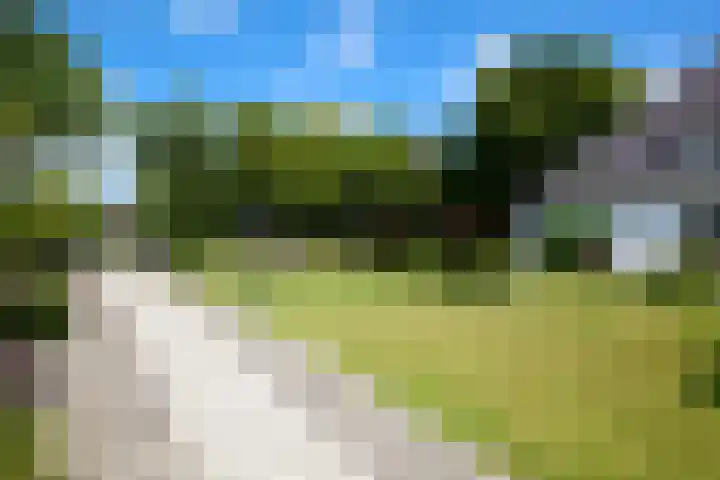 Zuiderweg 79 Zuidoostbeemster thumbnail 10
