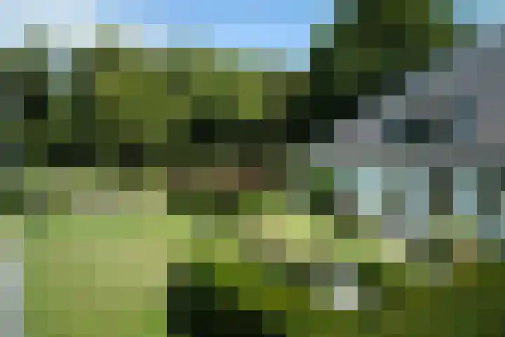 Zuiderweg 79 Zuidoostbeemster thumbnail 11