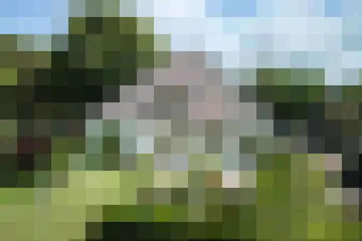 Zuiderweg 79 Zuidoostbeemster thumbnail 13