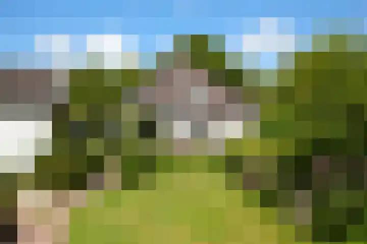 Zuiderweg 79 Zuidoostbeemster thumbnail 53