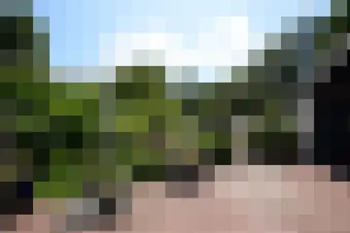 Zuiderweg 79 Zuidoostbeemster thumbnail 56