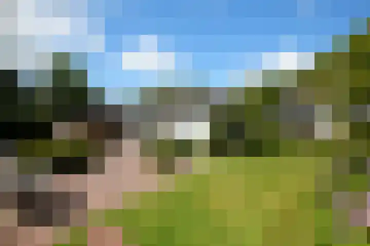 Zuiderweg 79 Zuidoostbeemster thumbnail 57