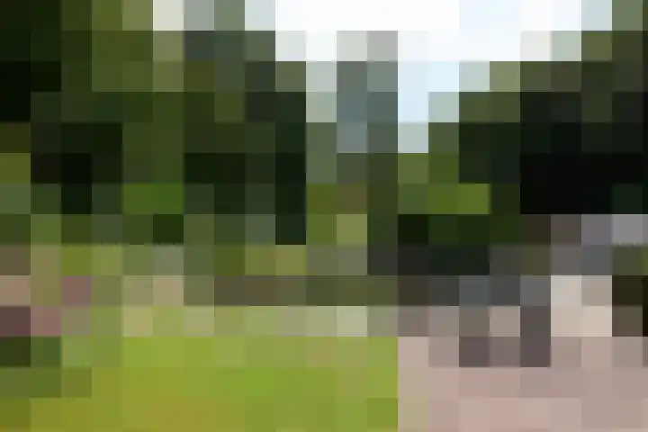 Zuiderweg 79 Zuidoostbeemster thumbnail 61