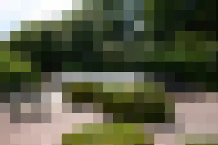 Zuiderweg 79 Zuidoostbeemster thumbnail 63