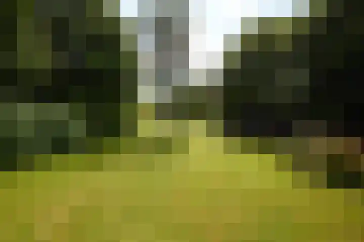 Zuiderweg 79 Zuidoostbeemster thumbnail 67