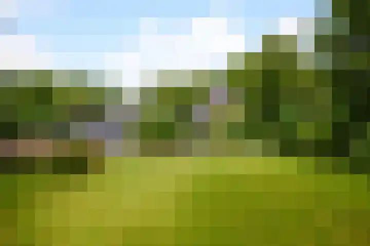 Zuiderweg 79 Zuidoostbeemster thumbnail 68