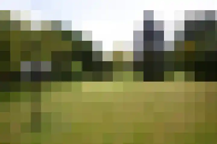 Zuiderweg 79 Zuidoostbeemster thumbnail 69