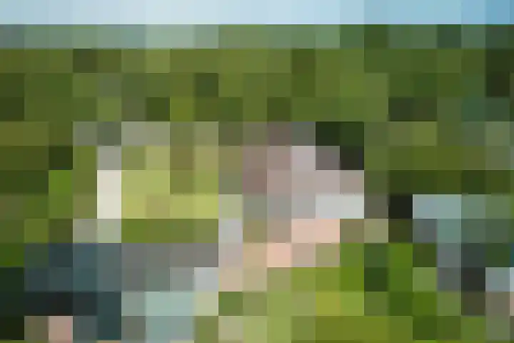 Zuiderweg 79 Zuidoostbeemster thumbnail 7