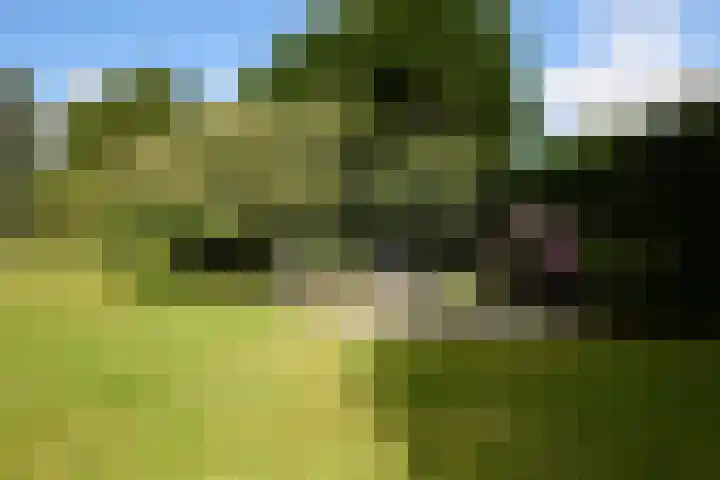 Zuiderweg 79 Zuidoostbeemster thumbnail 72
