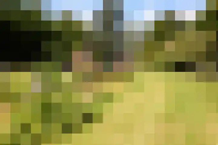 Zuiderweg 79 Zuidoostbeemster thumbnail 73