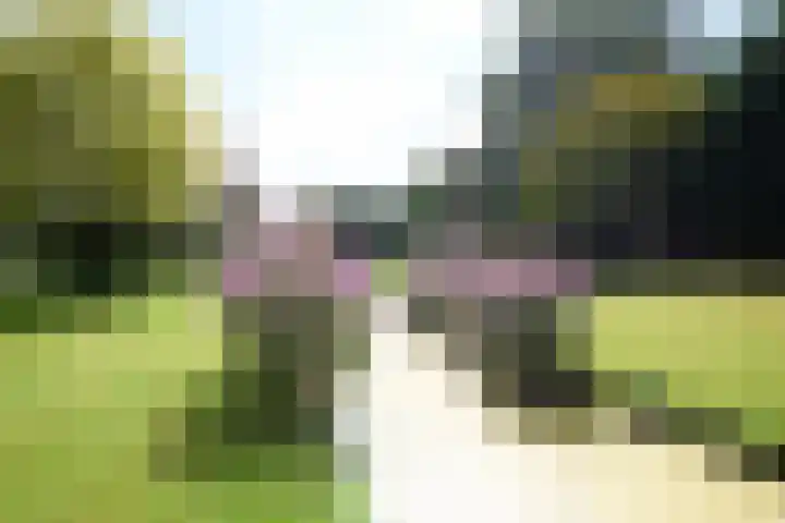 Zuiderweg 79 Zuidoostbeemster thumbnail 75