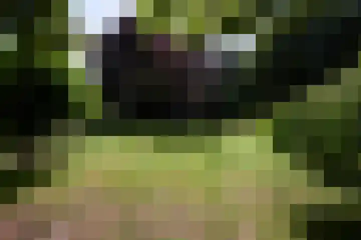 Zuiderweg 79 Zuidoostbeemster thumbnail 77