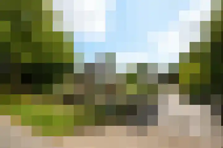 Zuiderweg 79 Zuidoostbeemster thumbnail 8