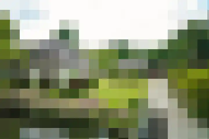 Zuiderweg 79 Zuidoostbeemster thumbnail 9