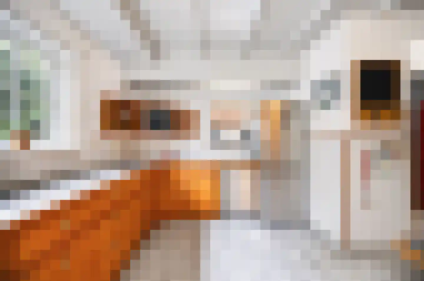Zuiderweg 8 Oude Niedorp thumbnail 19