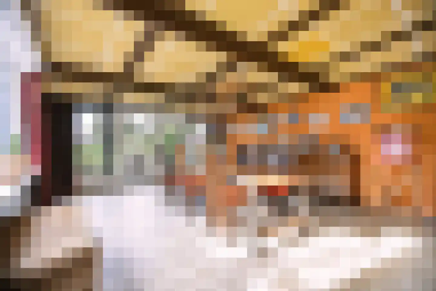 Zuiderweg 8 Oude Niedorp thumbnail 22