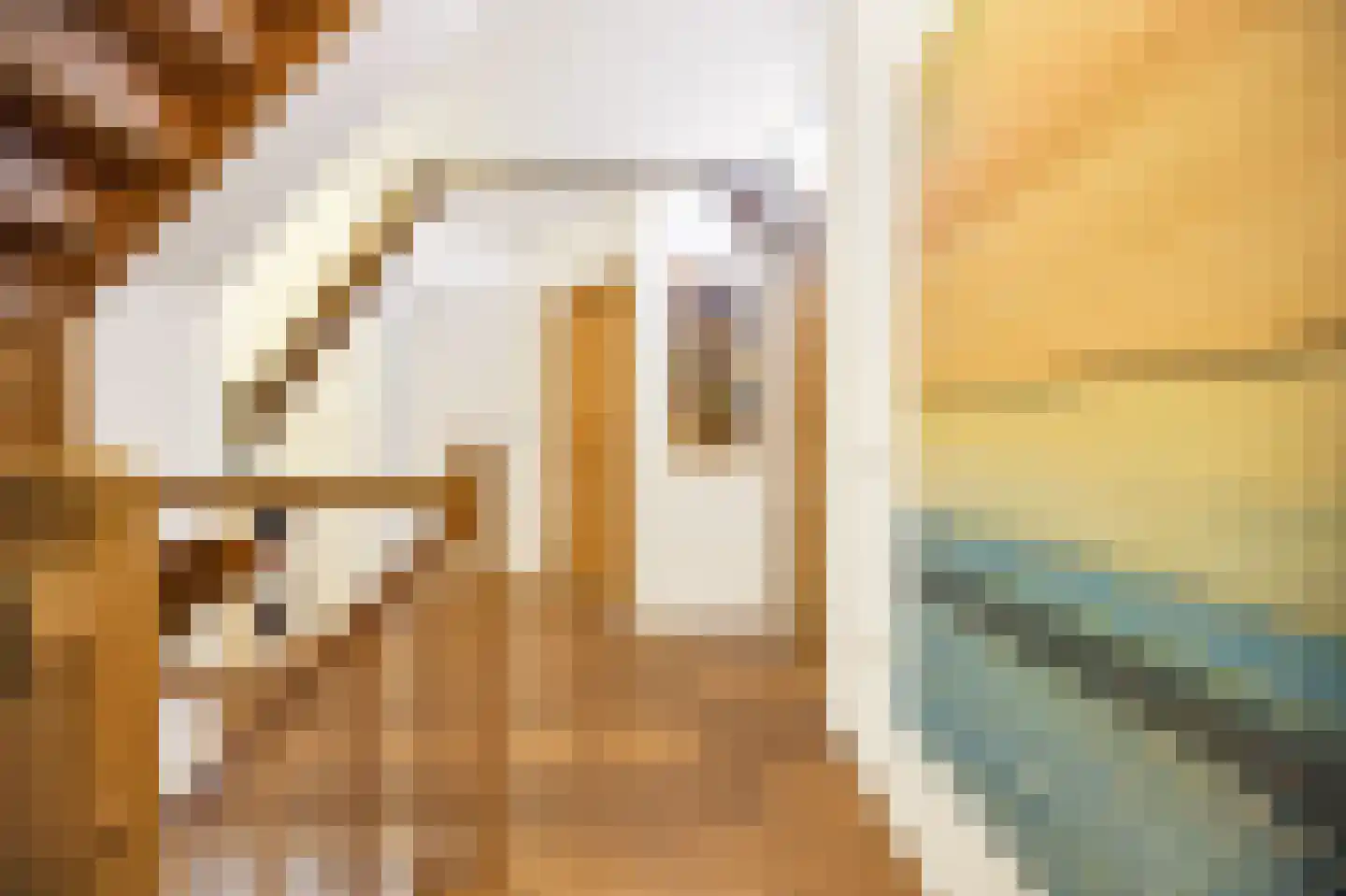 Zuiderweg 8 Oude Niedorp thumbnail 28