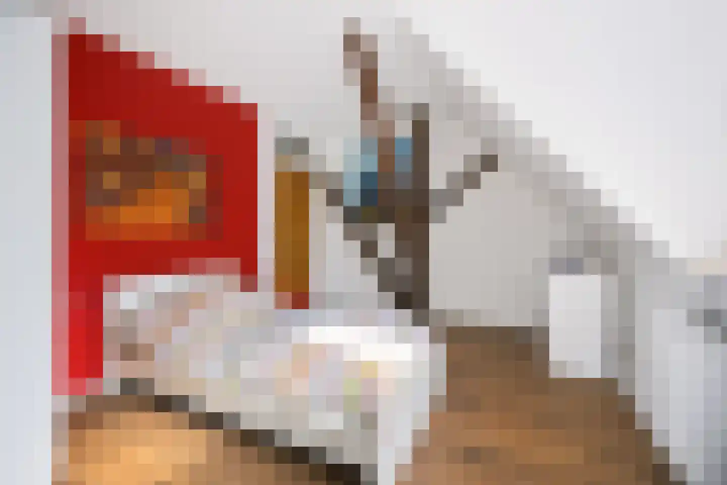 Zuiderweg 8 Oude Niedorp thumbnail 32
