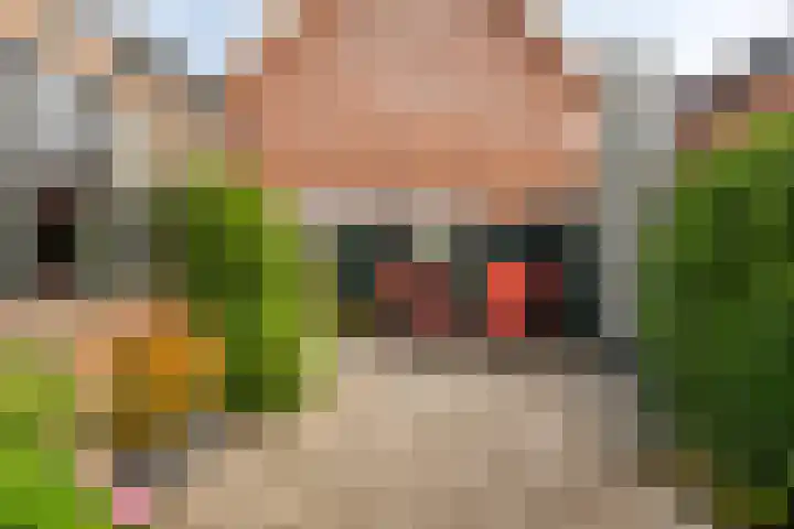 Zuiderweg 82 Zuidoostbeemster thumbnail 21