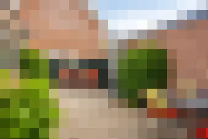 Zuiderweg 82 Zuidoostbeemster thumbnail 22