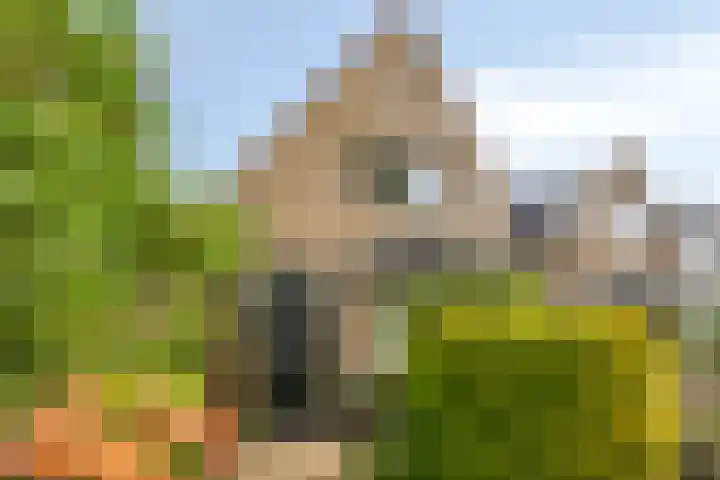 Zuiderweg 82 Zuidoostbeemster thumbnail 26