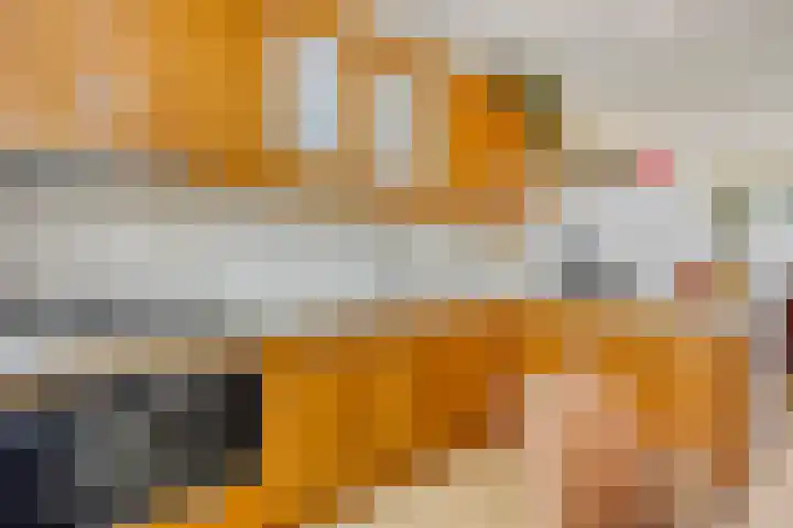 Zuiderweg 82 Zuidoostbeemster thumbnail 4