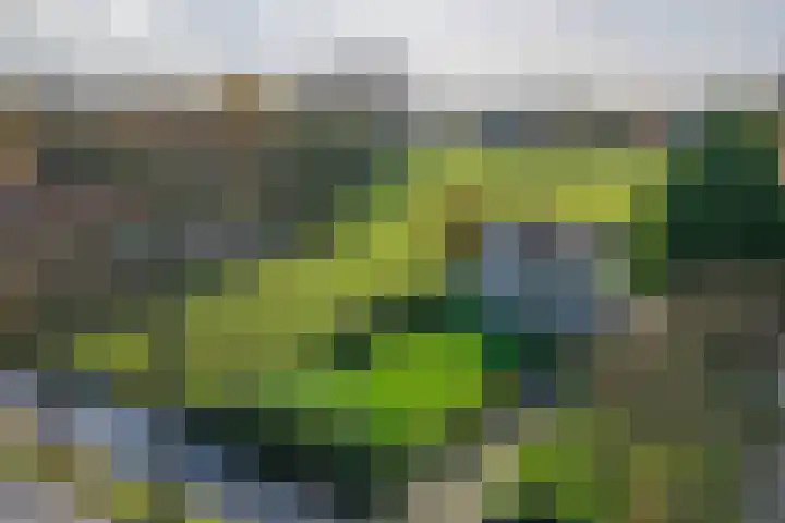 Zuiderweg 83 Zuidoostbeemster thumbnail 10