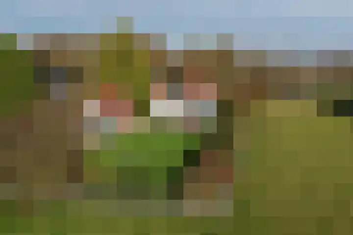 Zuiderweg 83 Zuidoostbeemster thumbnail 11