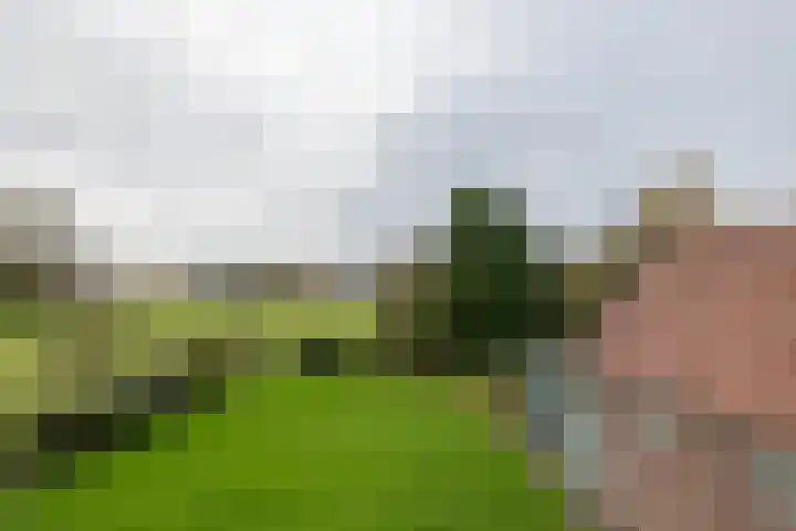 Zuiderweg 83 Zuidoostbeemster thumbnail 18