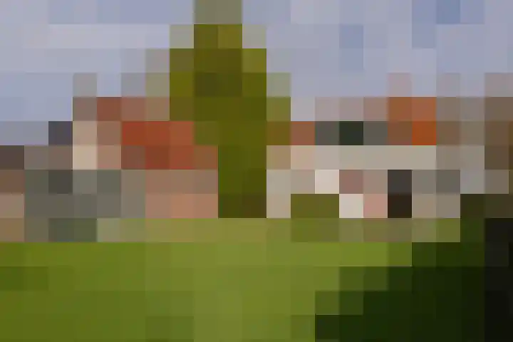 Zuiderweg 83 Zuidoostbeemster thumbnail 22