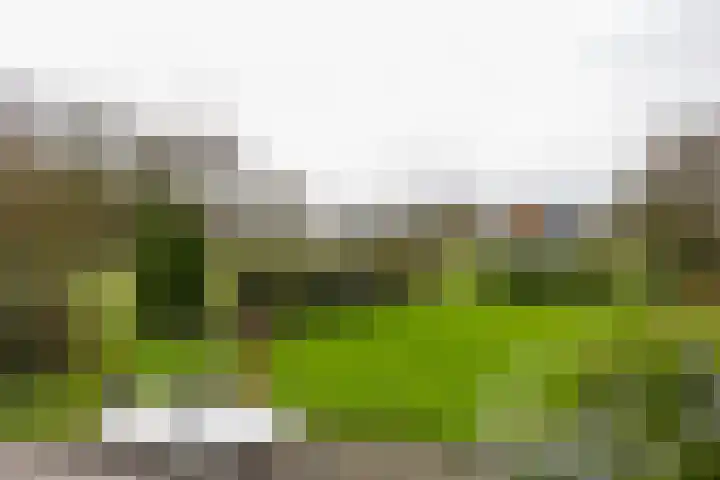 Zuiderweg 83 Zuidoostbeemster thumbnail 4
