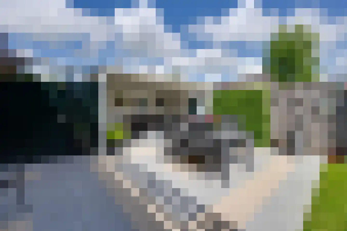 Zuiderweg 90 Zuidoostbeemster thumbnail 25