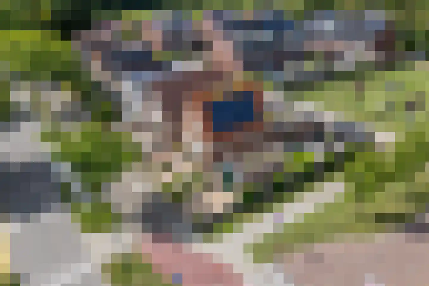 Zuiderweg 90 Zuidoostbeemster thumbnail 4